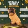 Копилка "Щенок шарпея" 22 х18 х14 см