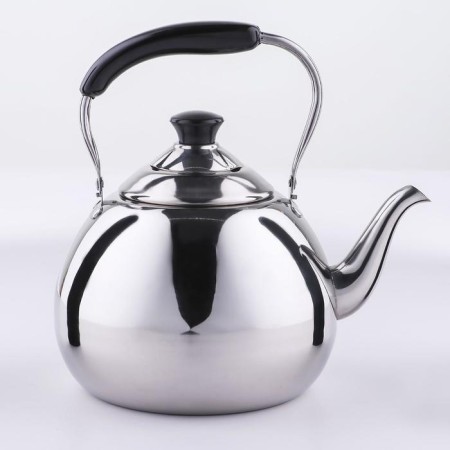 A teapot made of stainless steel Orchid, 3 l, silver color