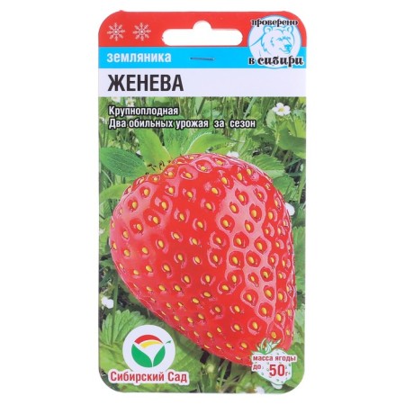 Strawberries "Geneva", 10 pcs