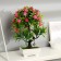 Bonsai in a pot "Tree with small colors" 10x25 cm, mix