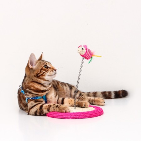 Cat Domestan "Sizaley Mouse on the Sisaley Stand", 19 x 23 cm, mix of flowers-1