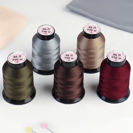Set of shoe threads No. 2, 86l, 250 m, color colorful color-1