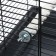 Mineral poles for birds "Pirate rope", 17 cm, diameter 2.5 cm