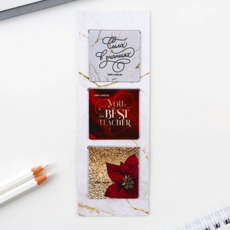 Gift set "Teacher No. 1": A5 diary, 80 sheets, pen, stickers, thermostatic 350 ml and magnetic bookmarks-13
