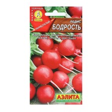 Seeds Radis 