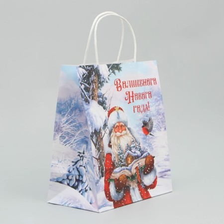 Craft Magic New Year package, 22 x 25 x 12 cm, New Year-2