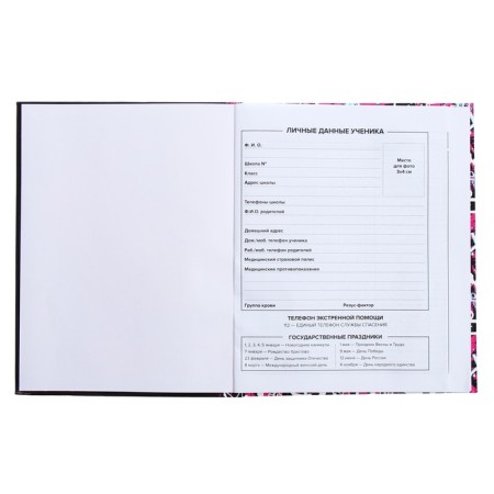 Universal Diary Grade 1-11, 48 sheets "Glamorous mouse", integral cover, glossy lamination, offset block-5