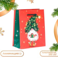 Gift Package 