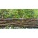 Photo Banner, 300 × 160 cm, with photo printing, eyelets Step 1 m, “braid”, Greengo