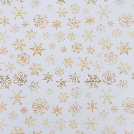 Paper Glossy "Snowflakes", bilateral, 70 x 100 cm-5