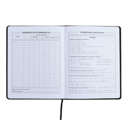 Universal Diary 1-11 grade, 48 sheets "Original", solid cover of artificial leather, embossing foil, liesse, universal cheat sheet, block 80 g/m2-8
