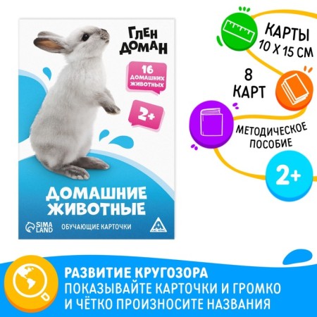 Training cards according to the method of Glena Doman "Pets", 8 cards, 2+