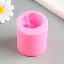 Mold Silicon 