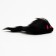 Toy for cats "Mouse Malaya", 5 cm, black