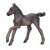 Figure Konik "Arabian foal, Voronoy"
