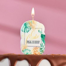 Candle for the cake 