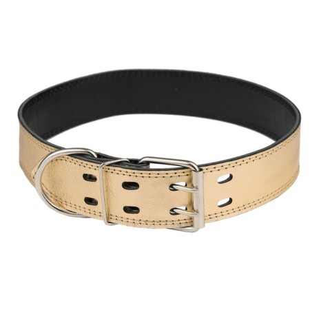 Collar leather two-layer, width 4.5 cm, Osh 63-73 cm, gold