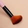 Set of makeup brushes "Soft", 5 objects, color mix