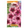 Petunia Fronts "Varvara Beauty F1" multi -flowered, o, 10 pcs