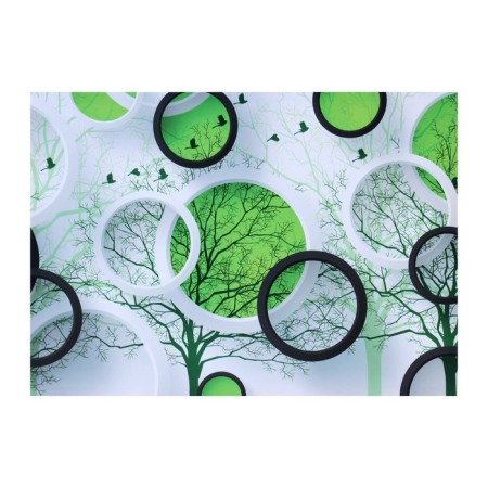 Picture on the canvas "Abstraction. circles" 50*70 cm