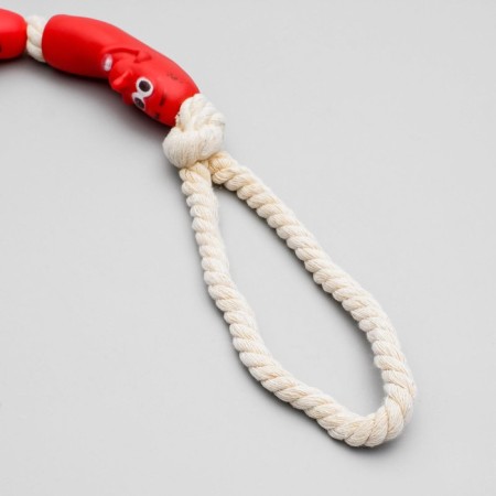 Rubber toy "3 sausages" on a rope, 50 cm, mix-2
