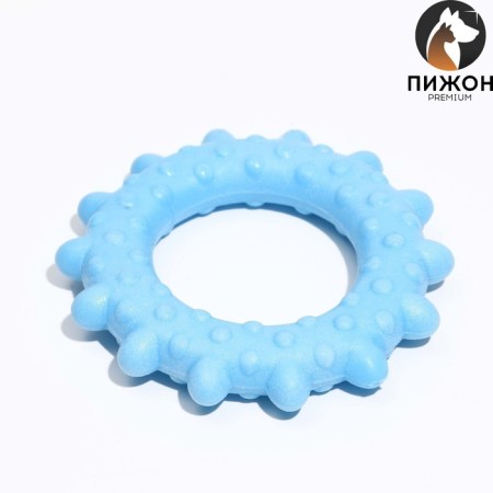 Toy floating for dogs "Ring with spikes" Pizhon Premium, foamed TPR, 8 cm, blue