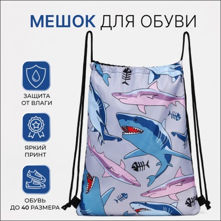 Back for shoes on the lace, the color is blue/pink