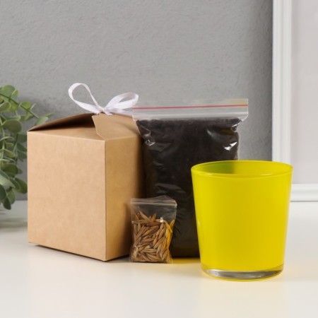 Set for growing plants "grow grass" yellow-4