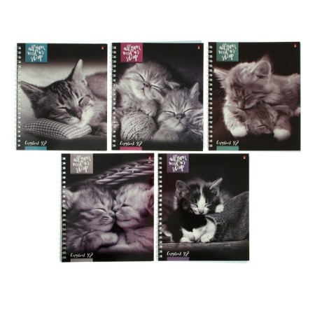 Notebook A5+, 48 sheets in a cage, on the crest "Kittens of Moore", cover coated cardboard, glossy lamination, mix