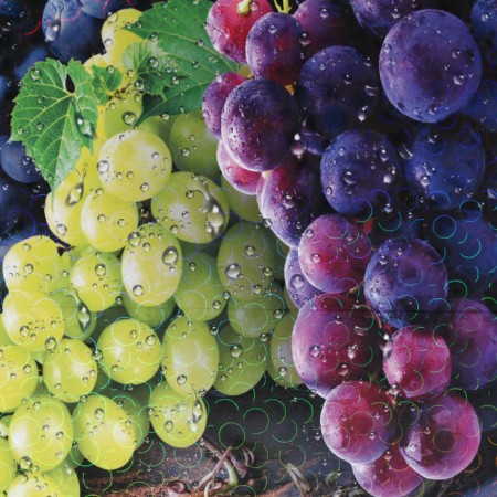 Groot board "Juicy grapes" 27x18 cm-6
