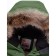 Winter park for a girl, height 164 cm, dark green color