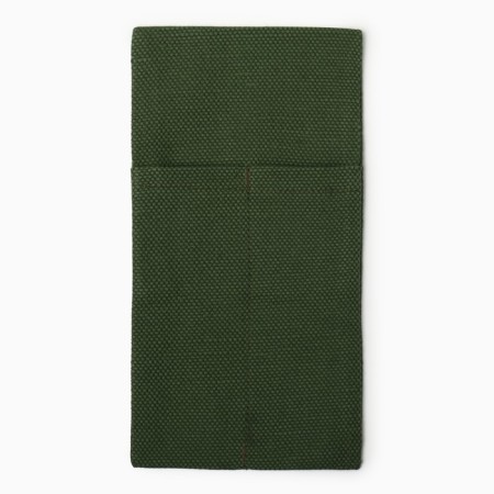 A set of envelopes for the devices Home Collection Green-2 pcs, 22x10cm, 56%lenons, 44%HL-1