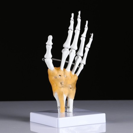 Model "Human Business" 22*12cm-1