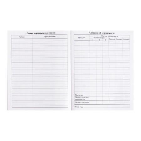 Universal diary for grades 1-11, "Anime. Girl Hieroglyphs", integral (flexible) cover, glossy lamination, 40 sheets-7