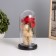 Nightlight "Bear with a rose" LED 3HAAA 10.5x10.5x22cm