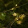 Garland “thread” 20 m dew, IP44, silver thread, 200 led, yellow glow, 2 modes, solar battery