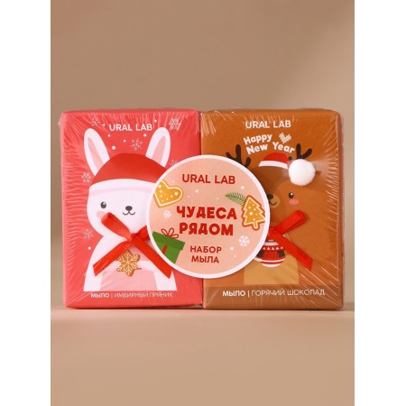Gift set of Ural Lab "Miracles nearby", a chicken hand soap, 2x100 g, New Year-1
