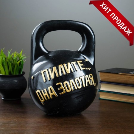 Piggy bank "Giry 16kg" 21x29cm