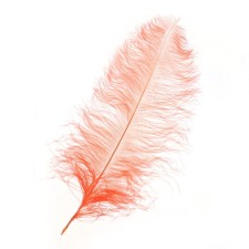 Feather for decor, length from 45 to 60 cm, color is powdery
