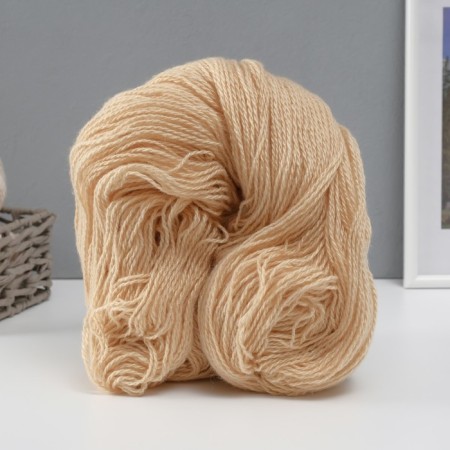 Yarn "Karachaevskaya" 100% acrylic 700-720m/220 ± 20g mix-1