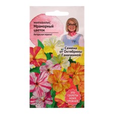 Flowers of Mirabilis 