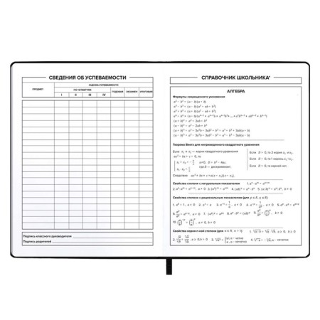 School diary for grade 1-11, "jacket", soft cover of artificial leather, neon print, 48 sheets, an offset block 80g/m2, universal cheat sheet-6