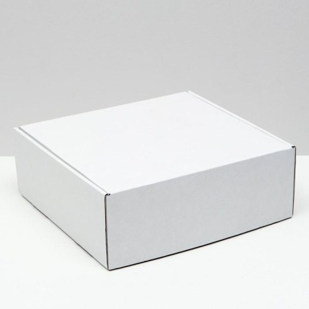Self -charged box, white, 26 x 25 x 9.5 cm