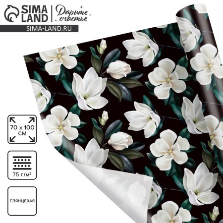 Glossy packaging paper "Magnolia", 70 x 100 cm