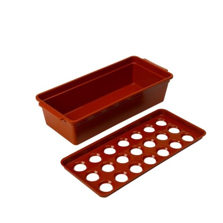 Box for growing green onions, 40 × 19 × 10 cm, 21 holes, red-1