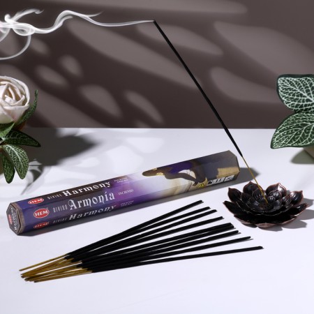 Incense hem "Divine Harmony deities. Harmonium", 20 sticks in packaging, hexagon