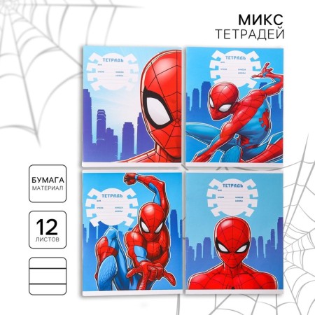 Notebook in a cage 12 sheets, 4 types of mix, cover coated paper, spider-man