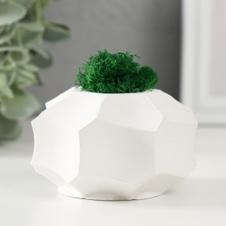 Concrete Kashpo "Glass" white 7.5x7.5x5 cm (moss green stabilized)