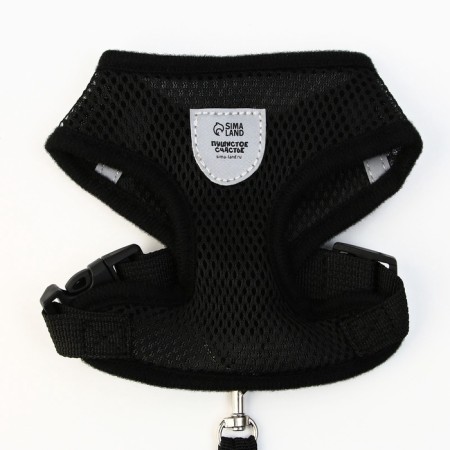 Drinking harness with a leash and reflective patch, s, ok 27, og 30-38, black-4
