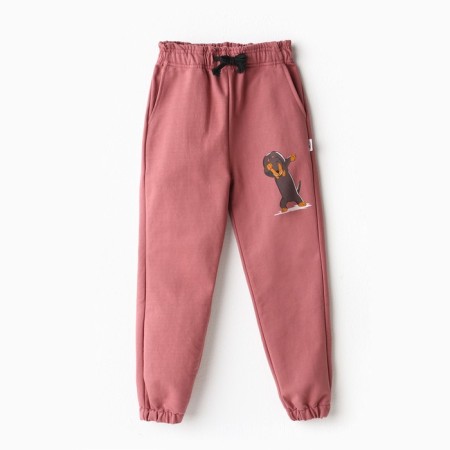 Pants for a boy, brick/dachshund, height 98-104cm-6